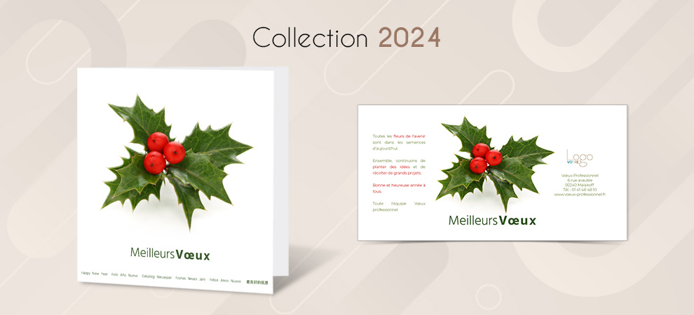 Collection 2024