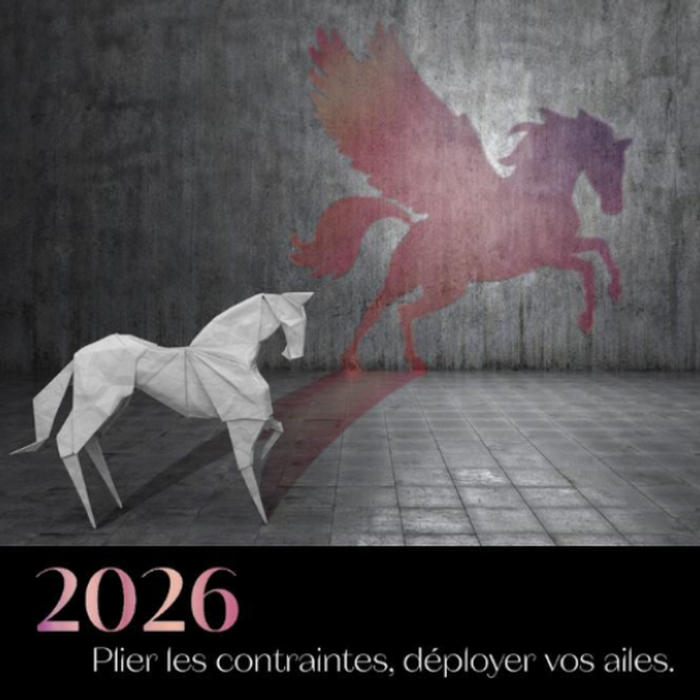 Carte de voeux 2026 - Pégase