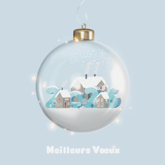 Boule de noël