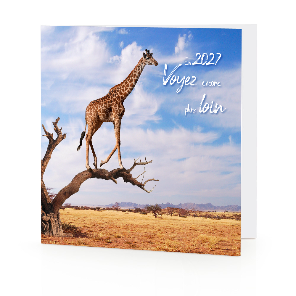 Girafe