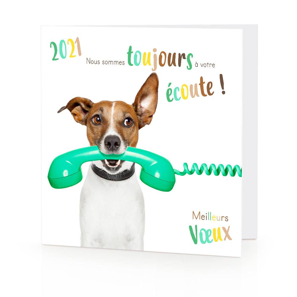 annee 2022 chien lettre