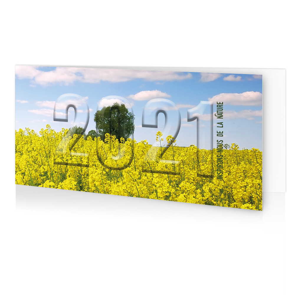 Cartes De Voeux 21 Pour Entreprises Voeux Professionnel Cartes De Voeux 21 Pour Entreprises Voeux Professionnel