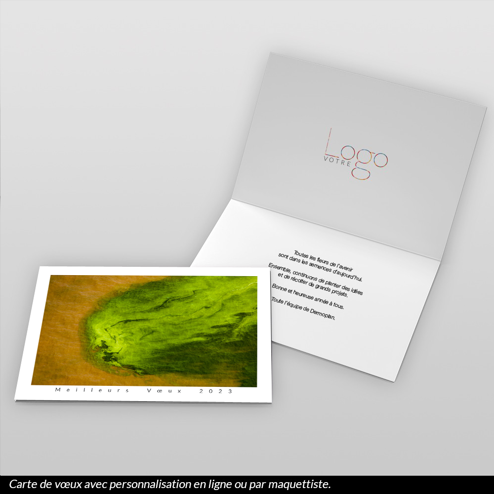 Carte de voeux 2023 - Algues, Lac Turkana