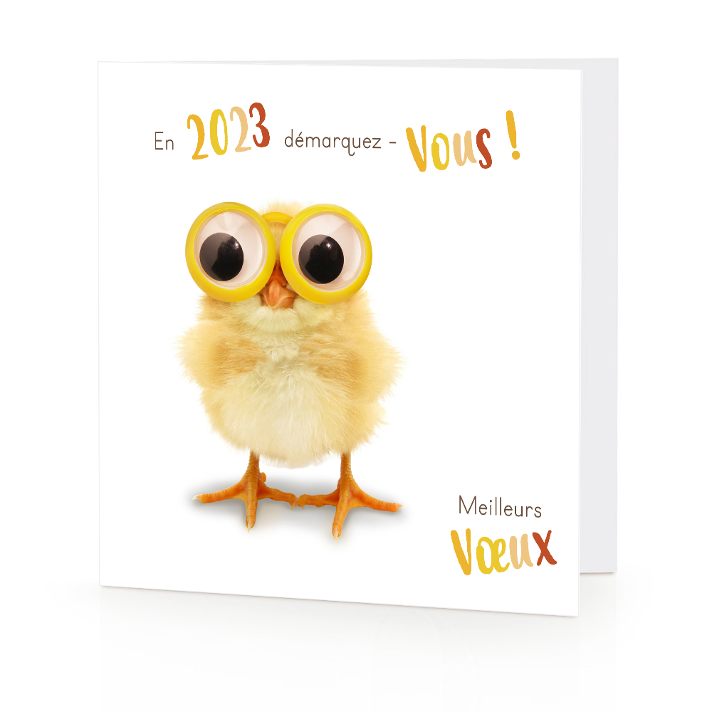 Carte de voeux 2023 - Poussin