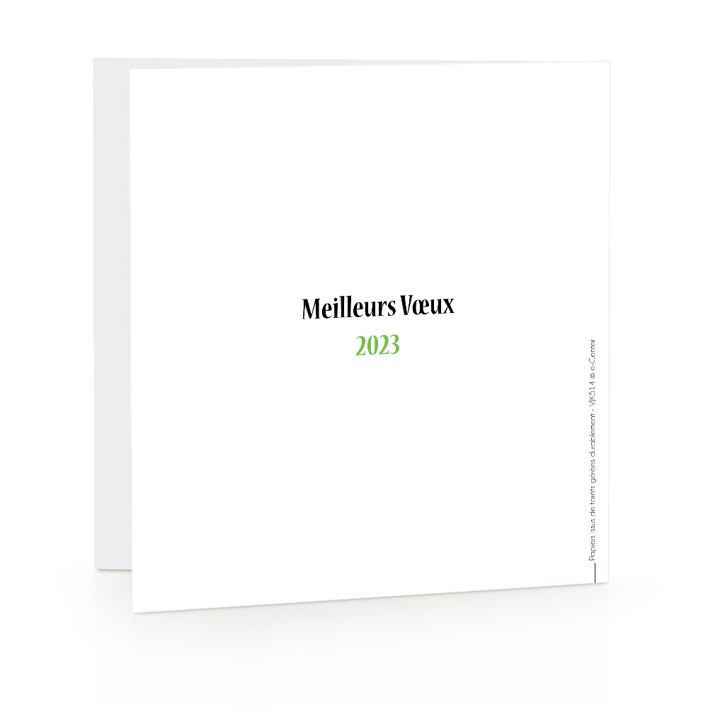 Carte de voeux 2023 - Raton-laveur