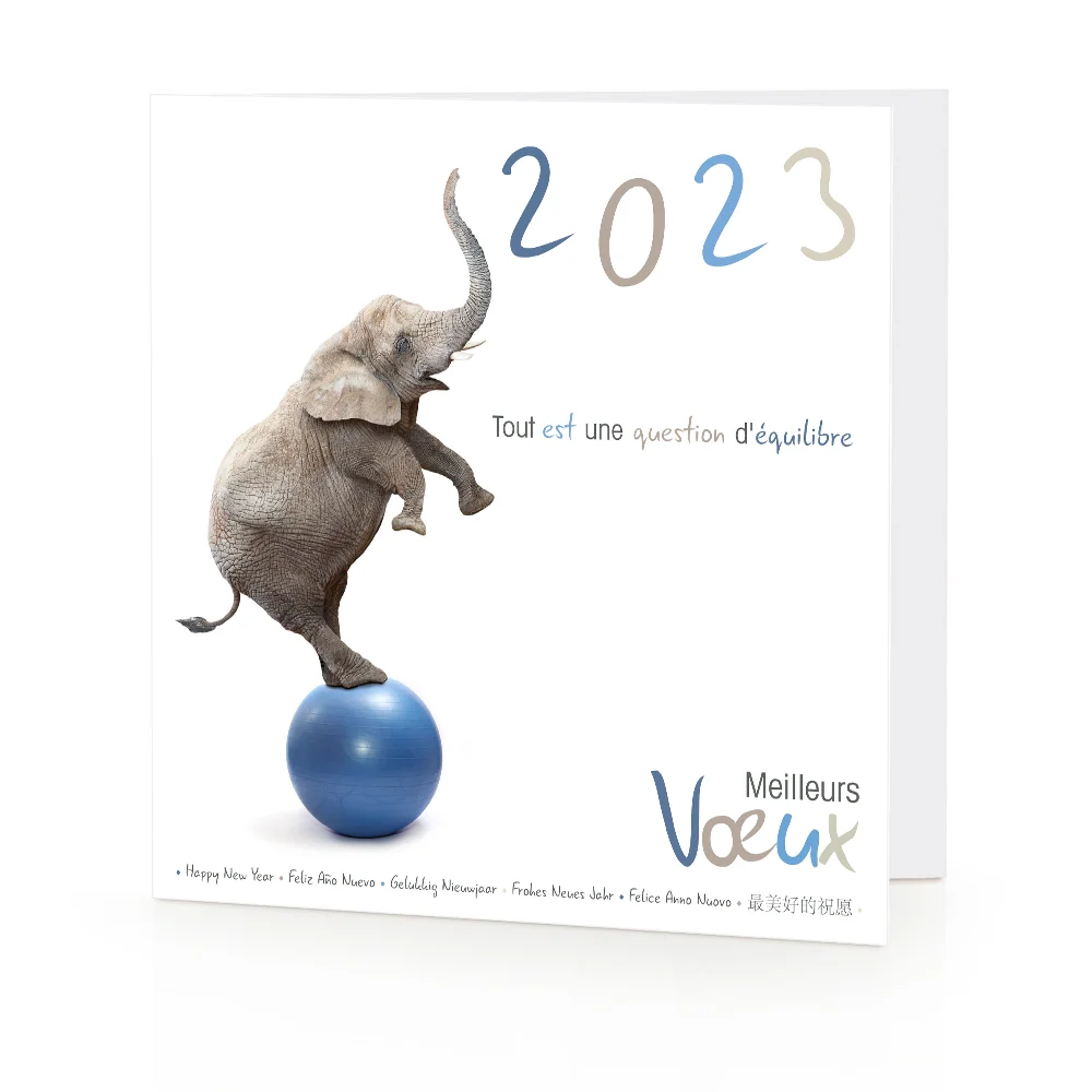Carte de voeux 2023 - Équilibre