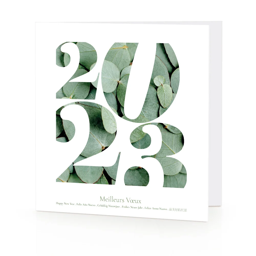 Carte de voeux 2023 - Eucalyptus