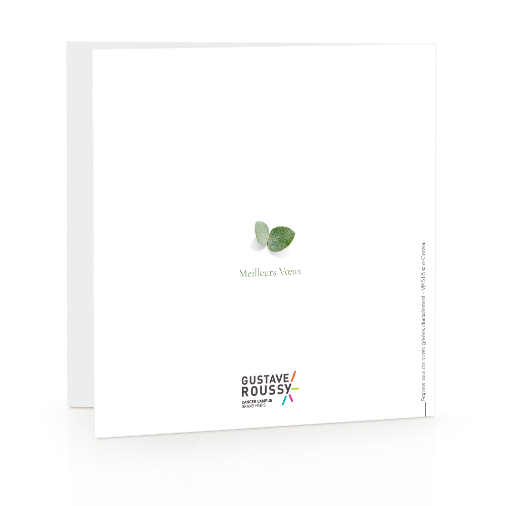 Carte de voeux 2023 - Eucalyptus