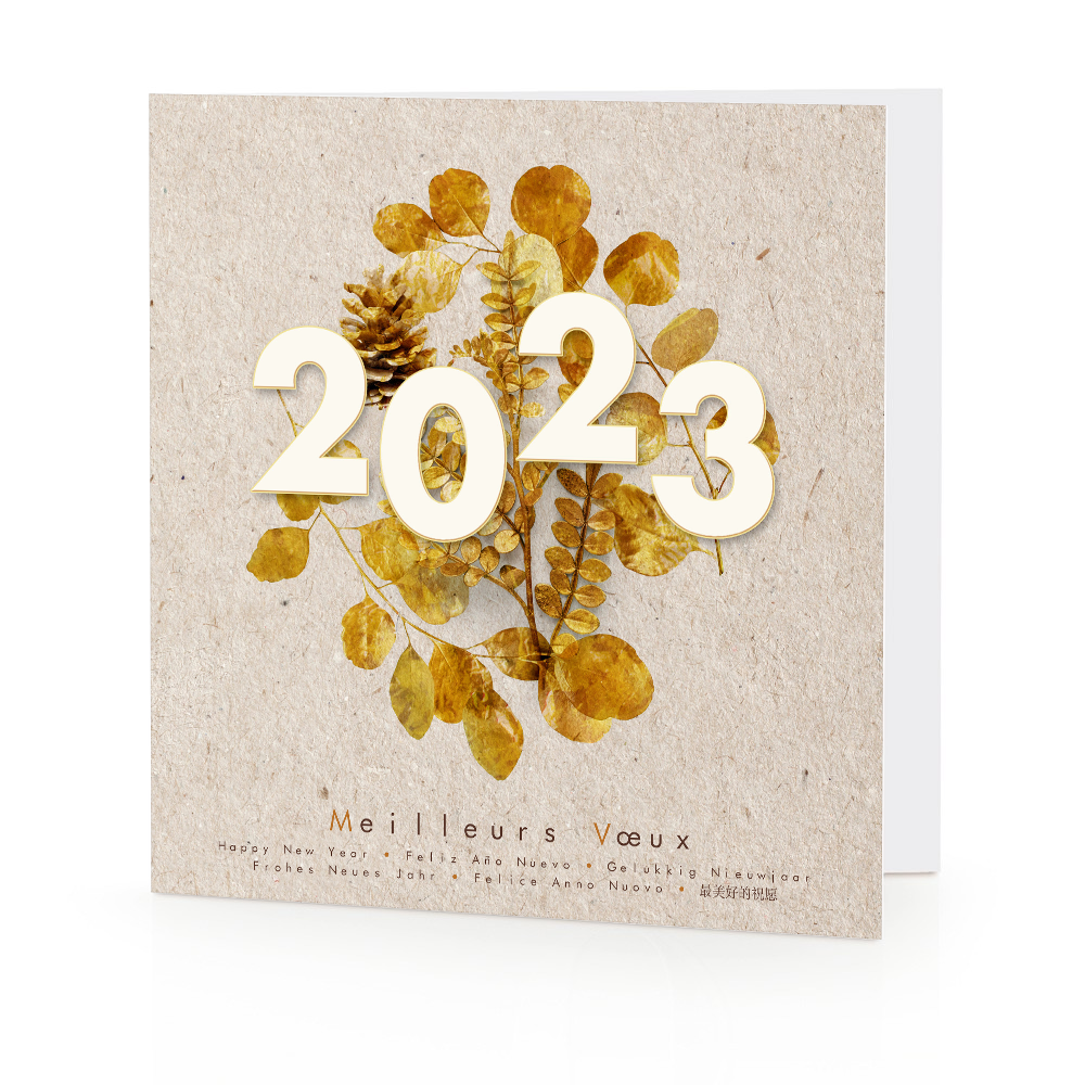 Carte de voeux 2023 - Houx