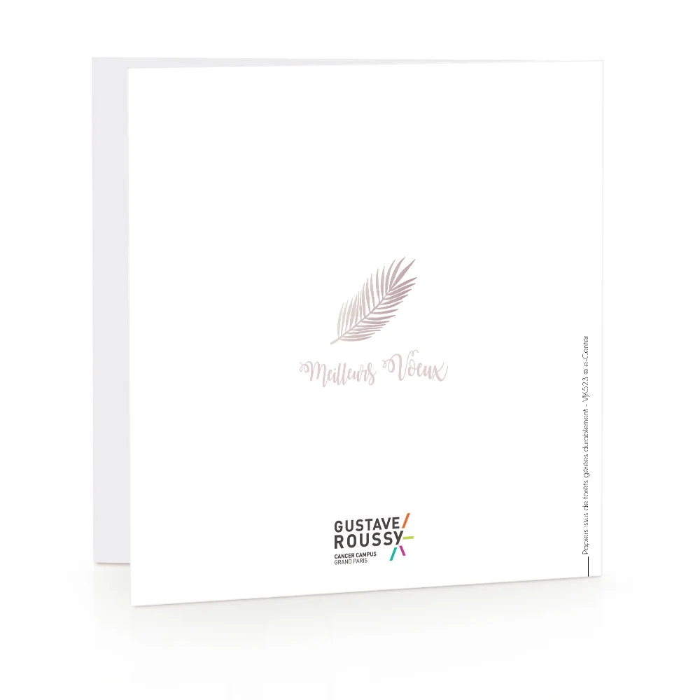 Carte de voeux 2023 - Palmier