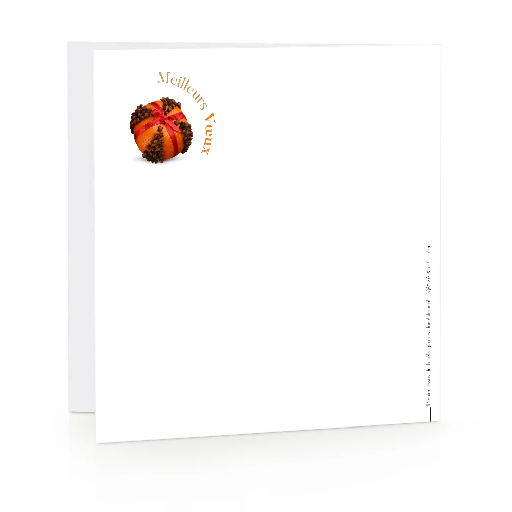 Carte de voeux 2023 - Clémentine