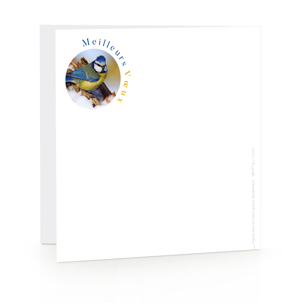 Carte de voeux 2023 - Noël Doré