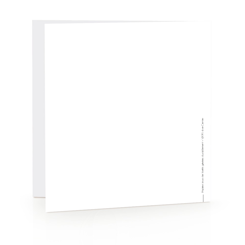 Carte de voeux 2023 - Voyons les Choses en Grand