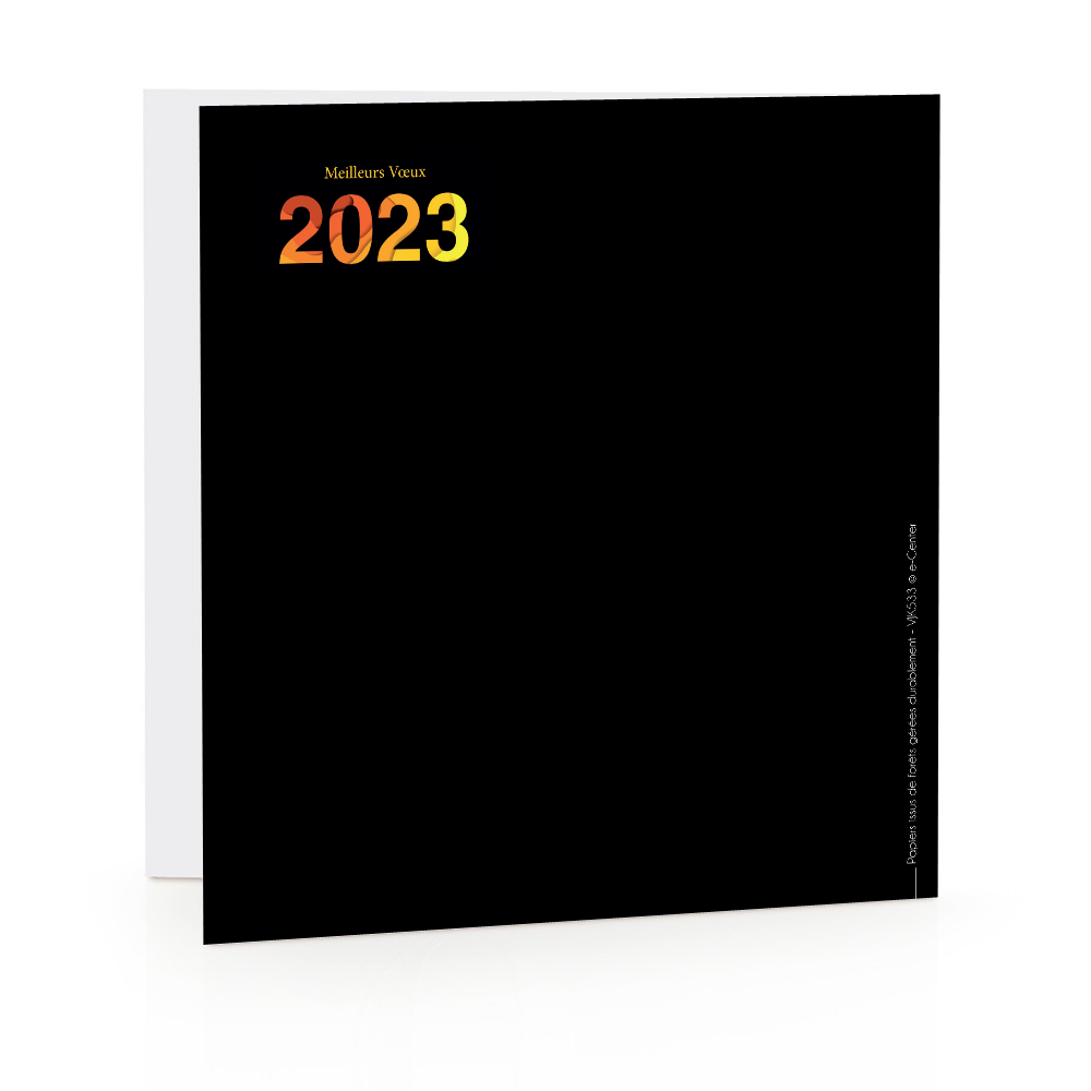 Carte de voeux 2023 - Orangée