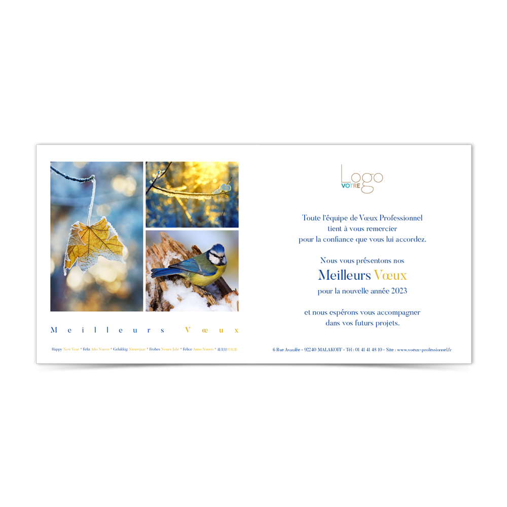Carte de Voeux Virtuelle 2023 Statique - Noël Doré