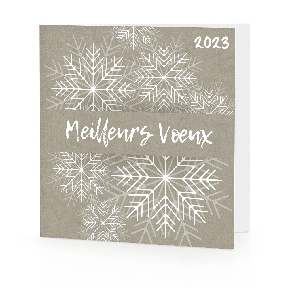 Carte de voeux 2023 - Flocon 1