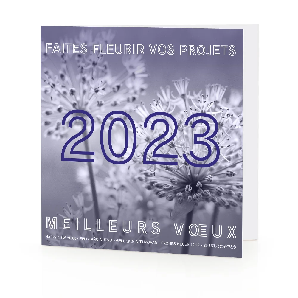 Carte de voeux 2023 - Pissenlit