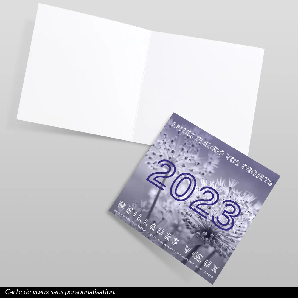 Carte de voeux 2023 - Pissenlit