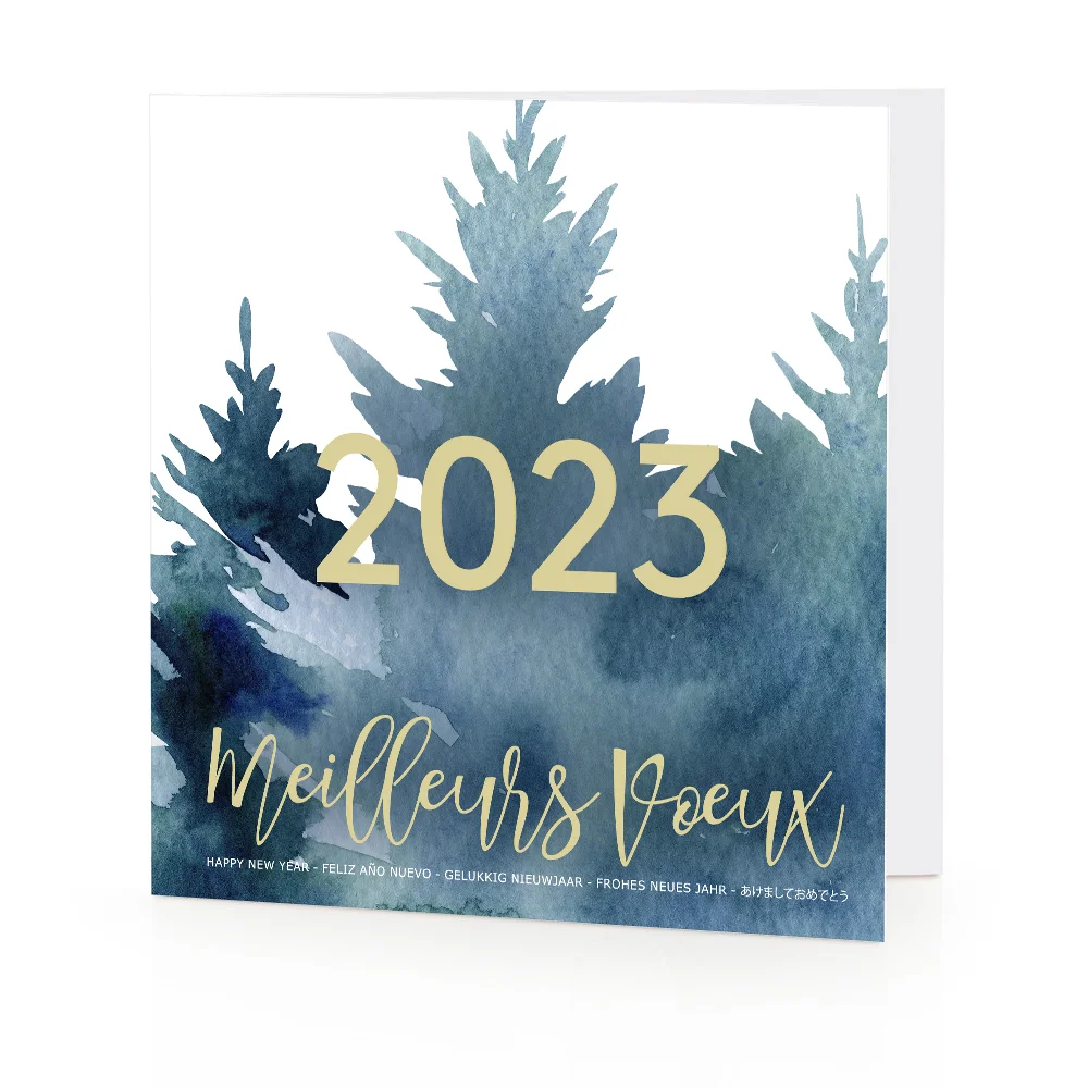 Carte de voeux 2023 - Sapin