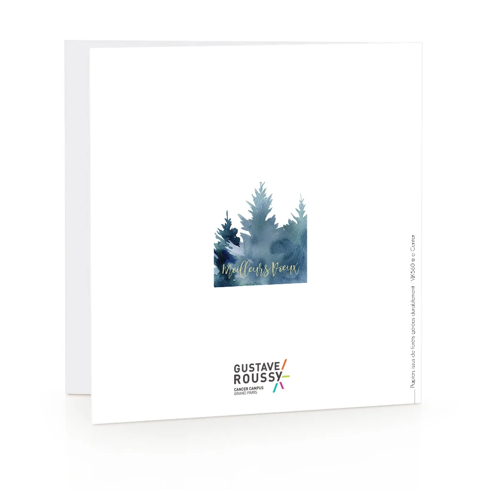 Carte de voeux 2023 - Sapin