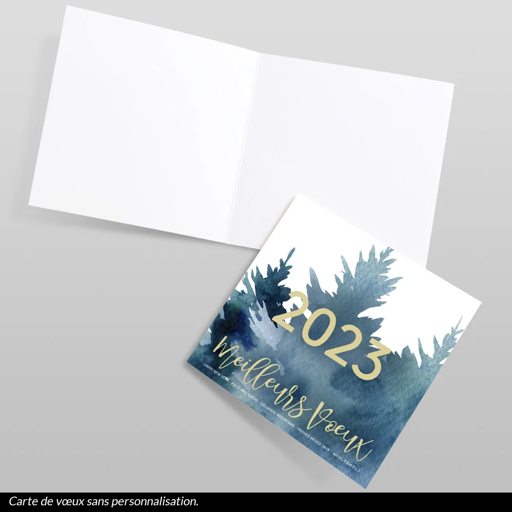 Carte de voeux 2023 - Sapin