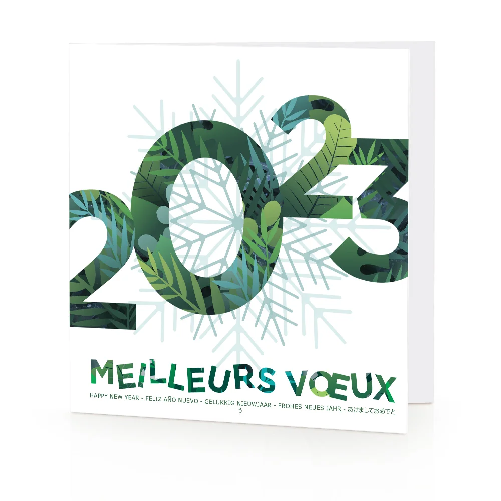 Carte de voeux 2023 - Flocon Exotique