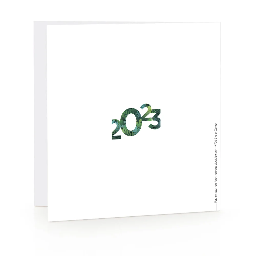 Carte de voeux 2023 - Flocon Exotique