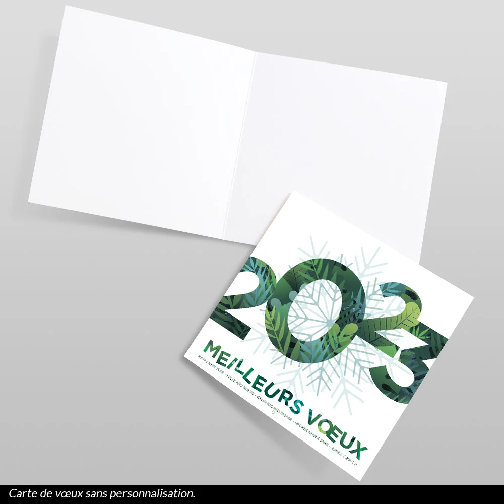 Carte de voeux 2023 - Flocon Exotique