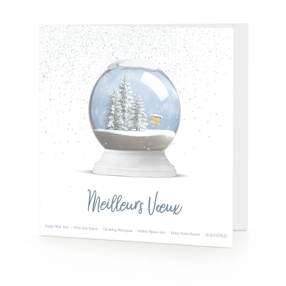 Carte de voeux 2023 - Boule à neige