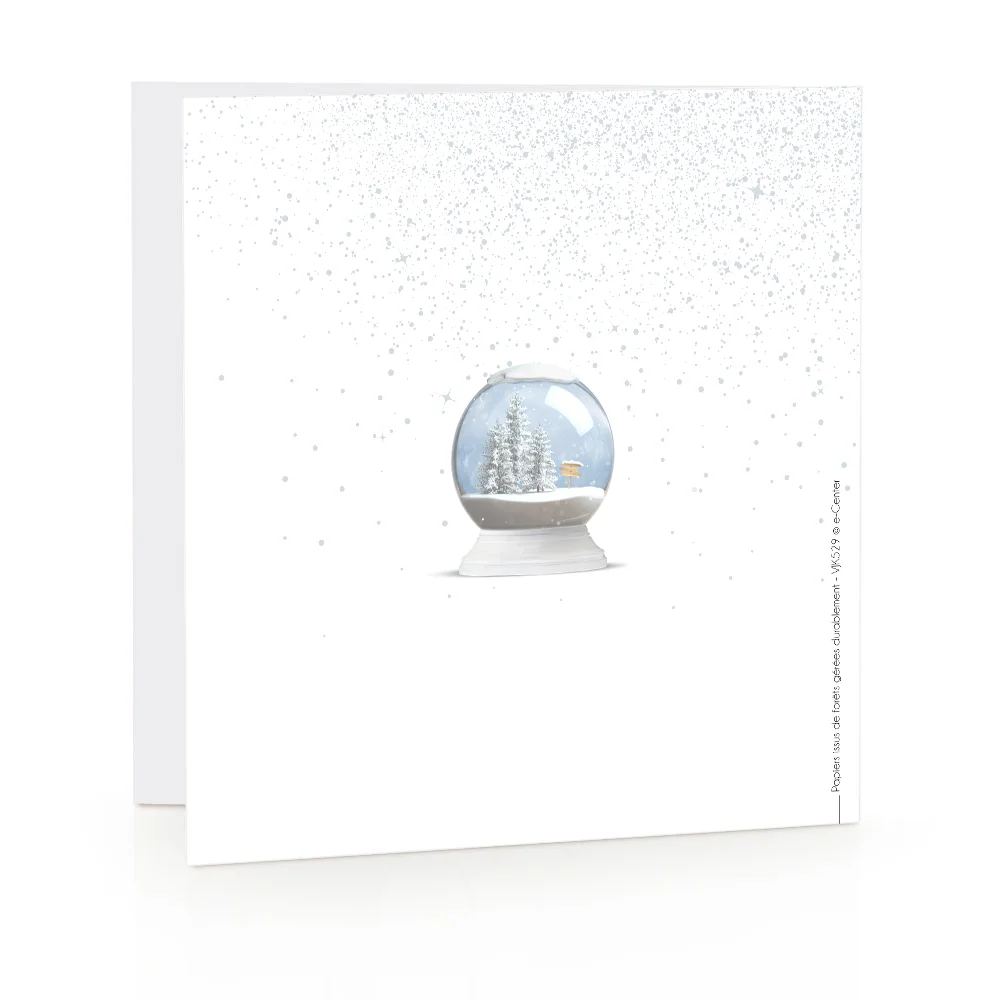 Carte de voeux 2023 - Boule à neige