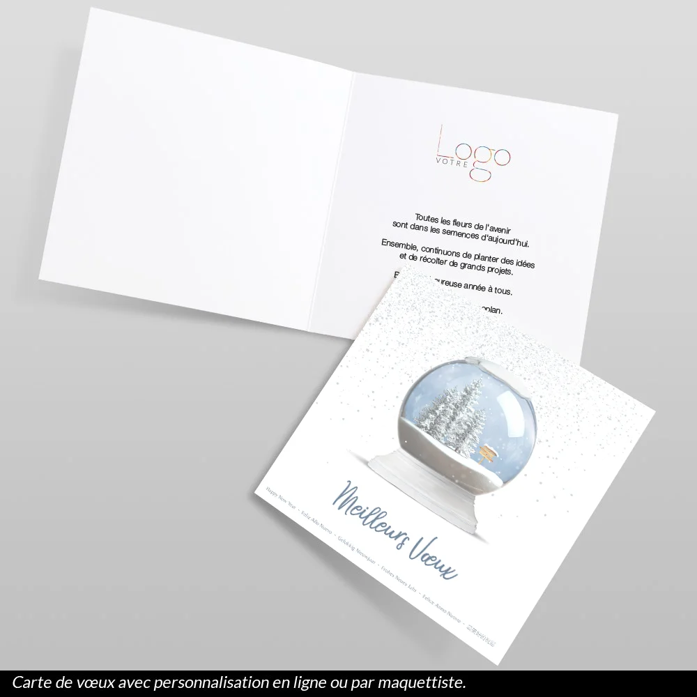 Carte de voeux 2023 - Boule à neige