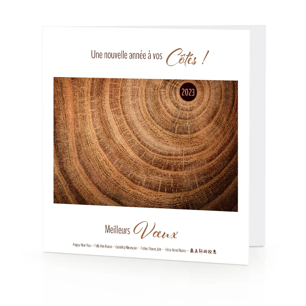 Carte de voeux 2023 - Bois