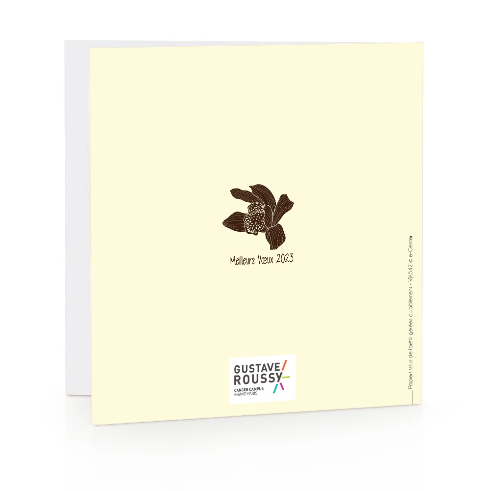 Carte de voeux 2023 - Oiseau des îles