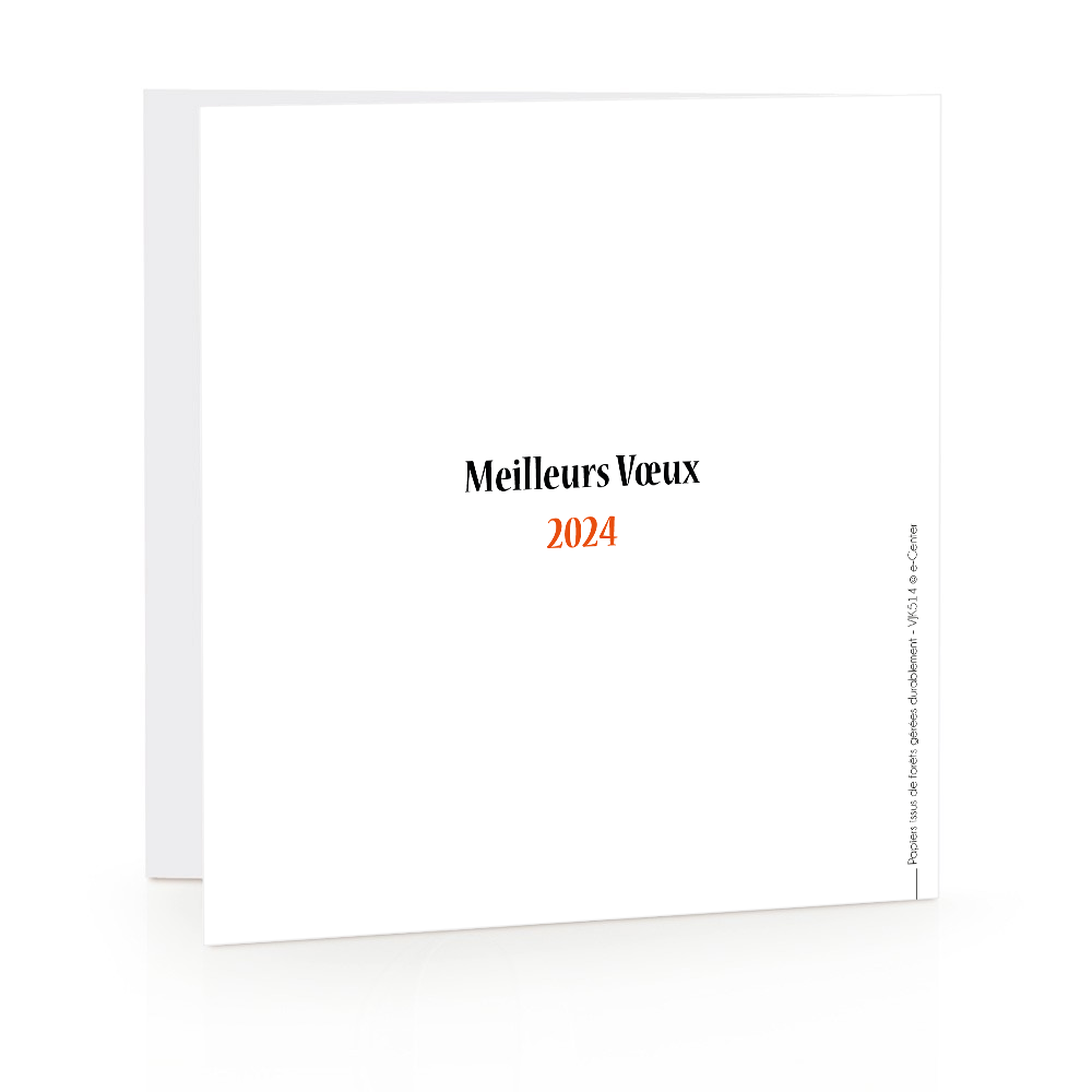 Carte de voeux 2024 Raton-laveur
