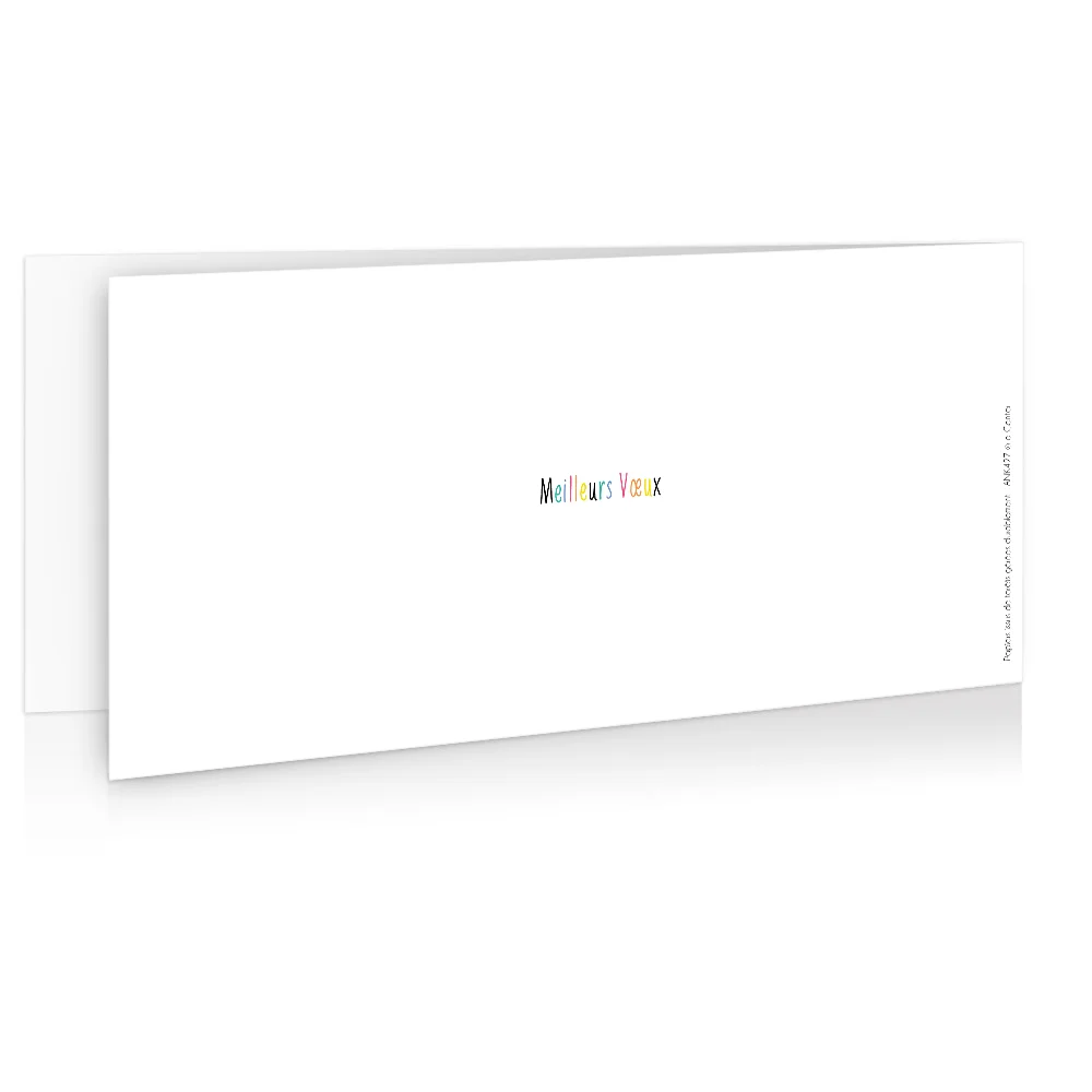 Carte de voeux 2024 Envol