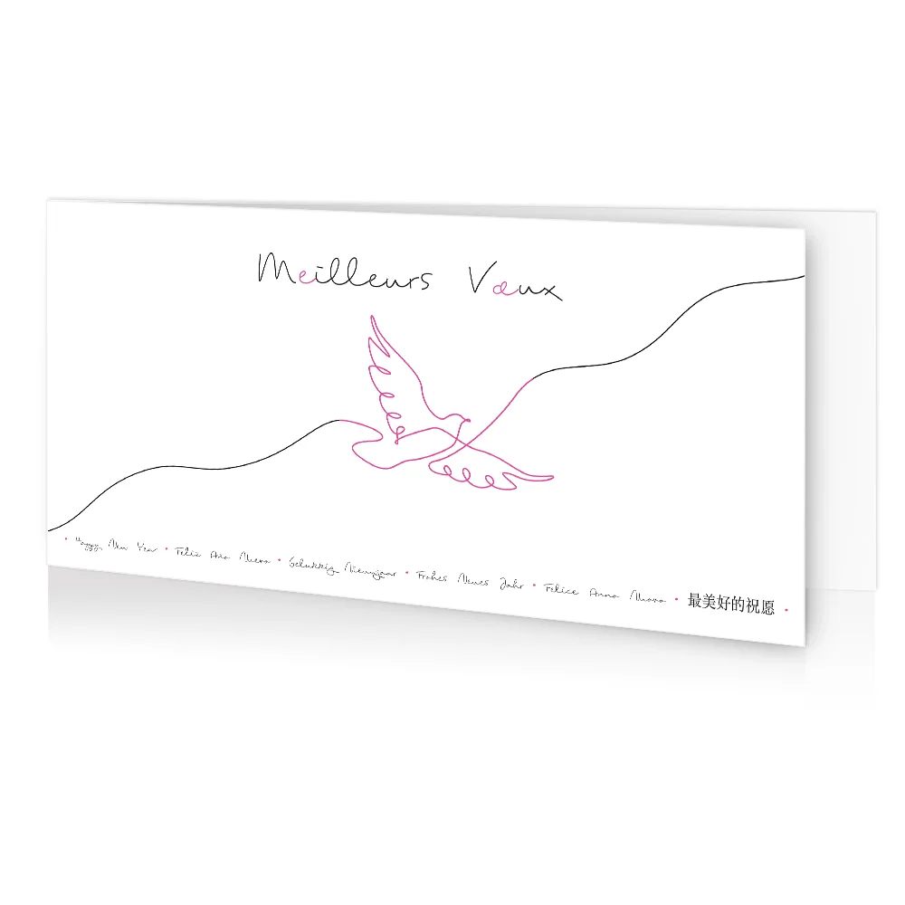 carte de voeux 2024 Colombe