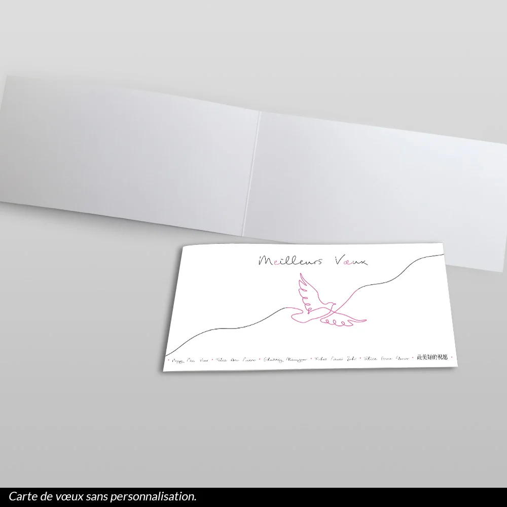 carte de voeux 2024 Colombe