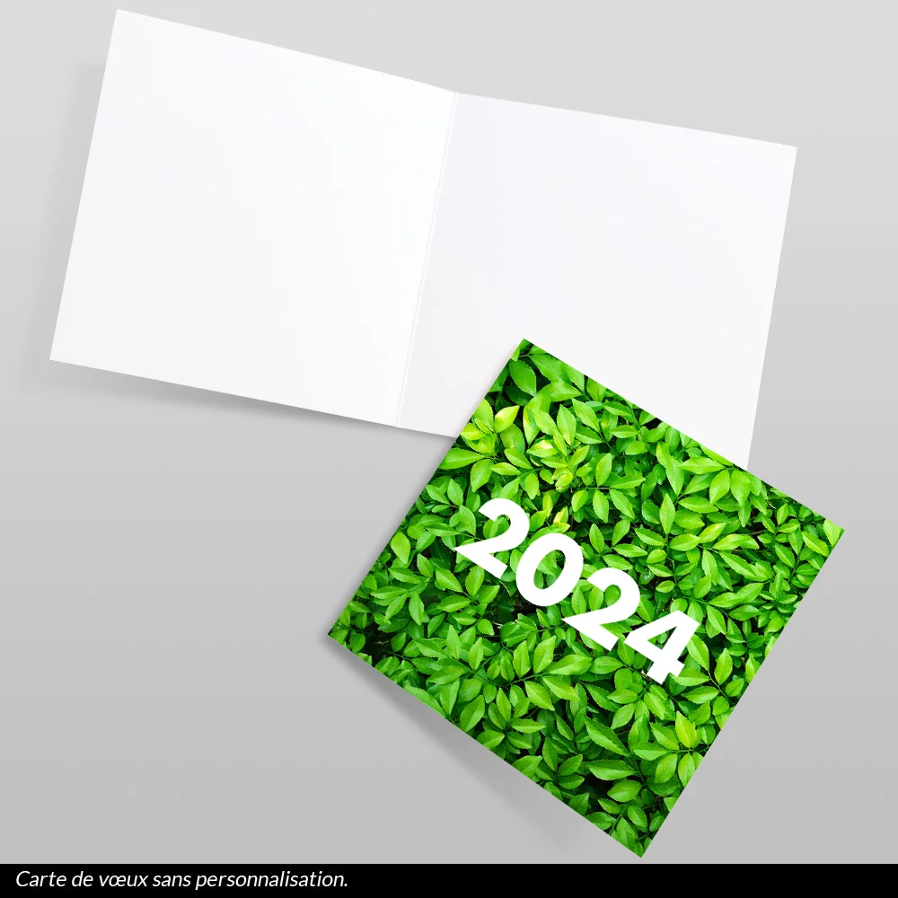 Carte de voeux 2024 Buisson