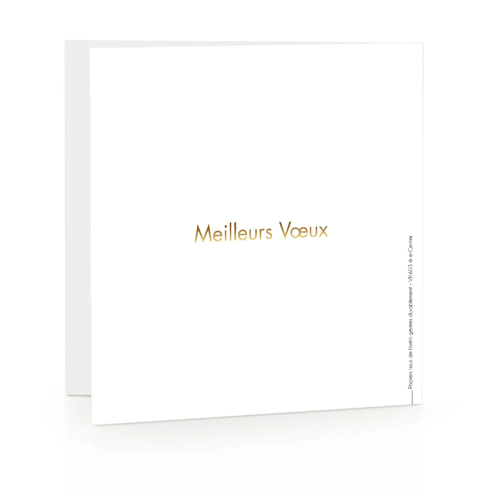 Carte de voeux 2024 Lumineuse