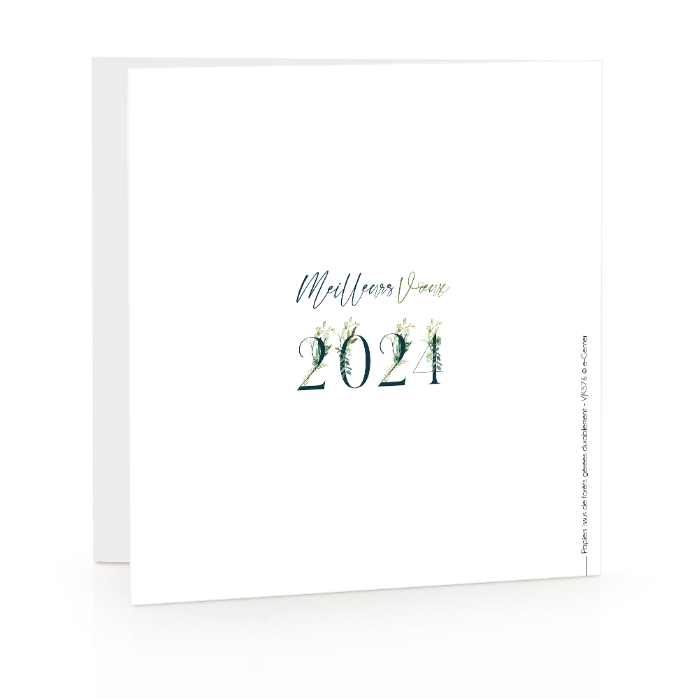 Carte de voeux 2024 Veinage