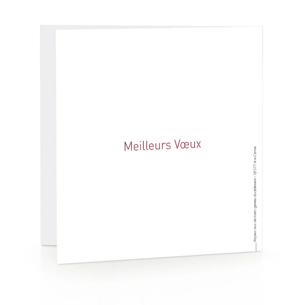 Carte de voeux 2024 Scintillante