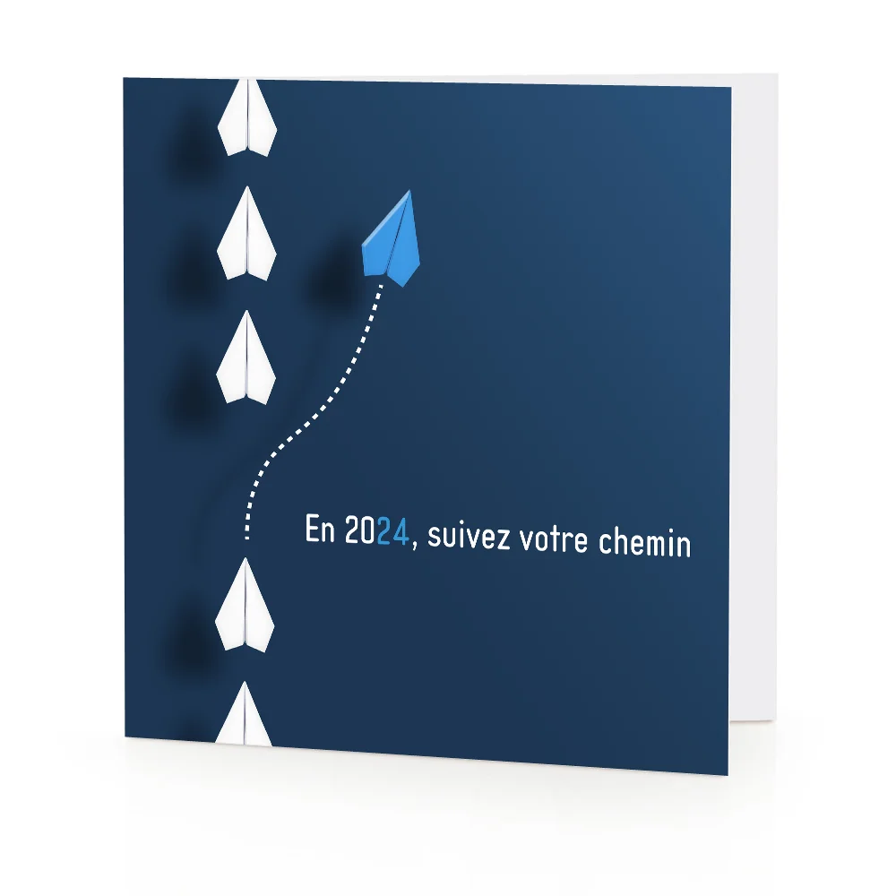 Carte de voeux 2024 Avion