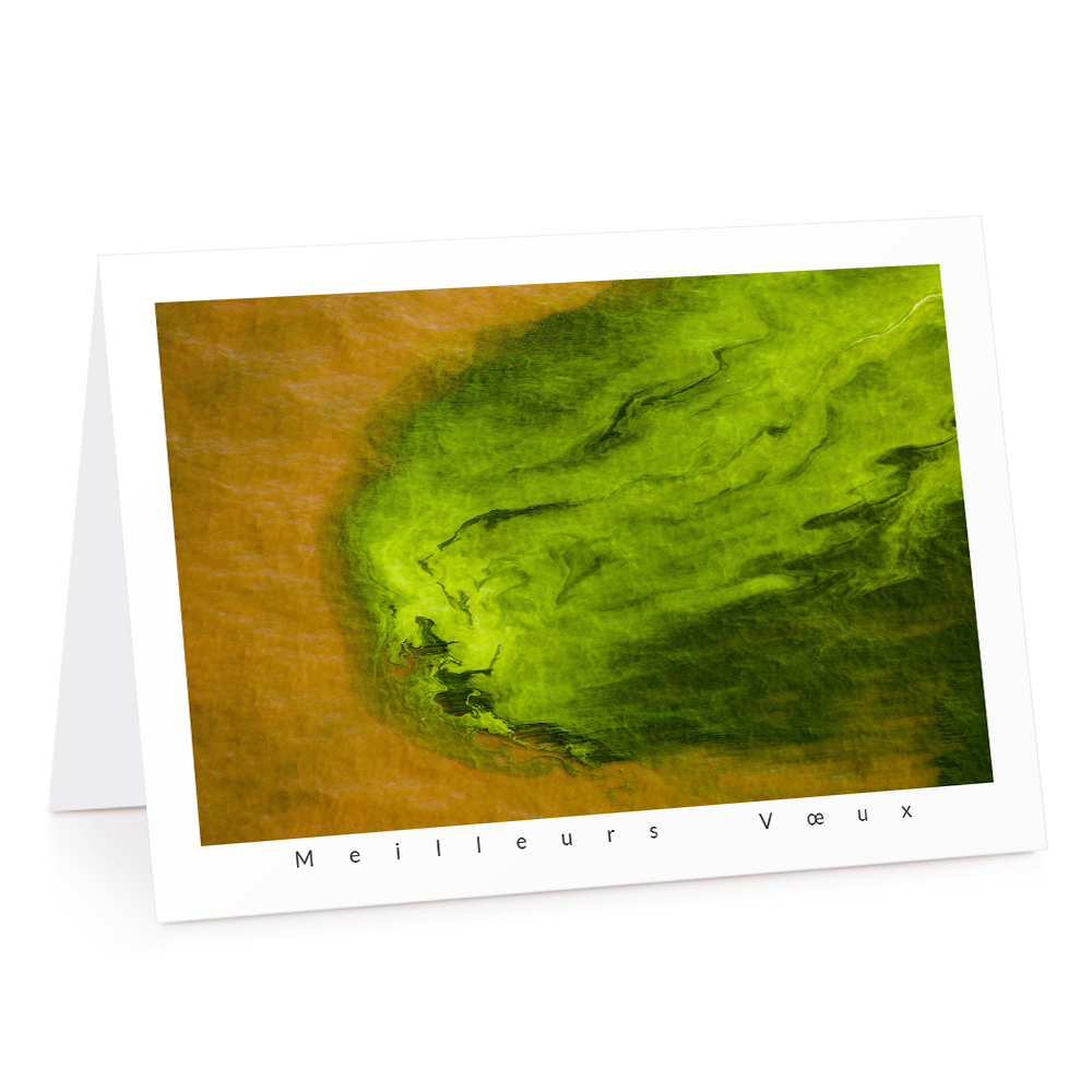 Carte de voeux 2024 - Algues, Lac Turkana