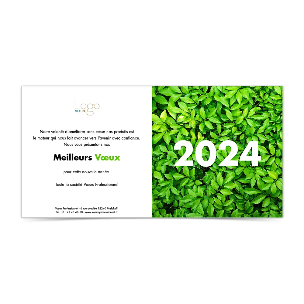 carte de voeux 2024 Statique -  Buisson