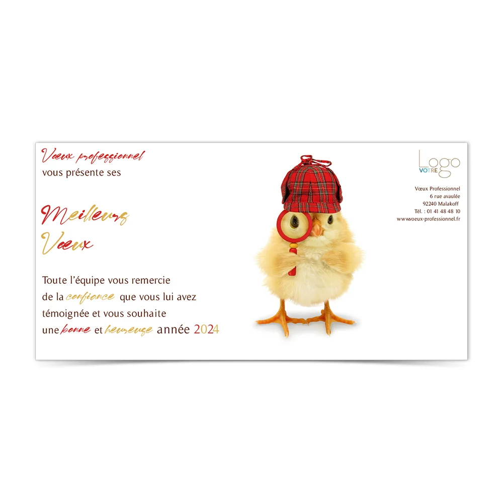 carte de voeux 2024 Statique -  Sherlock