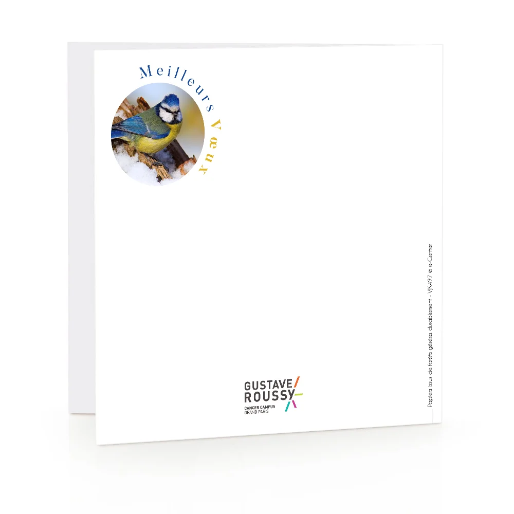 Carte de voeux 2025 - Noël Doré