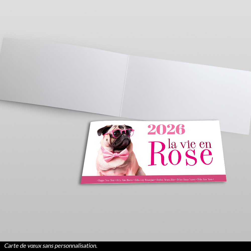La vie en rose