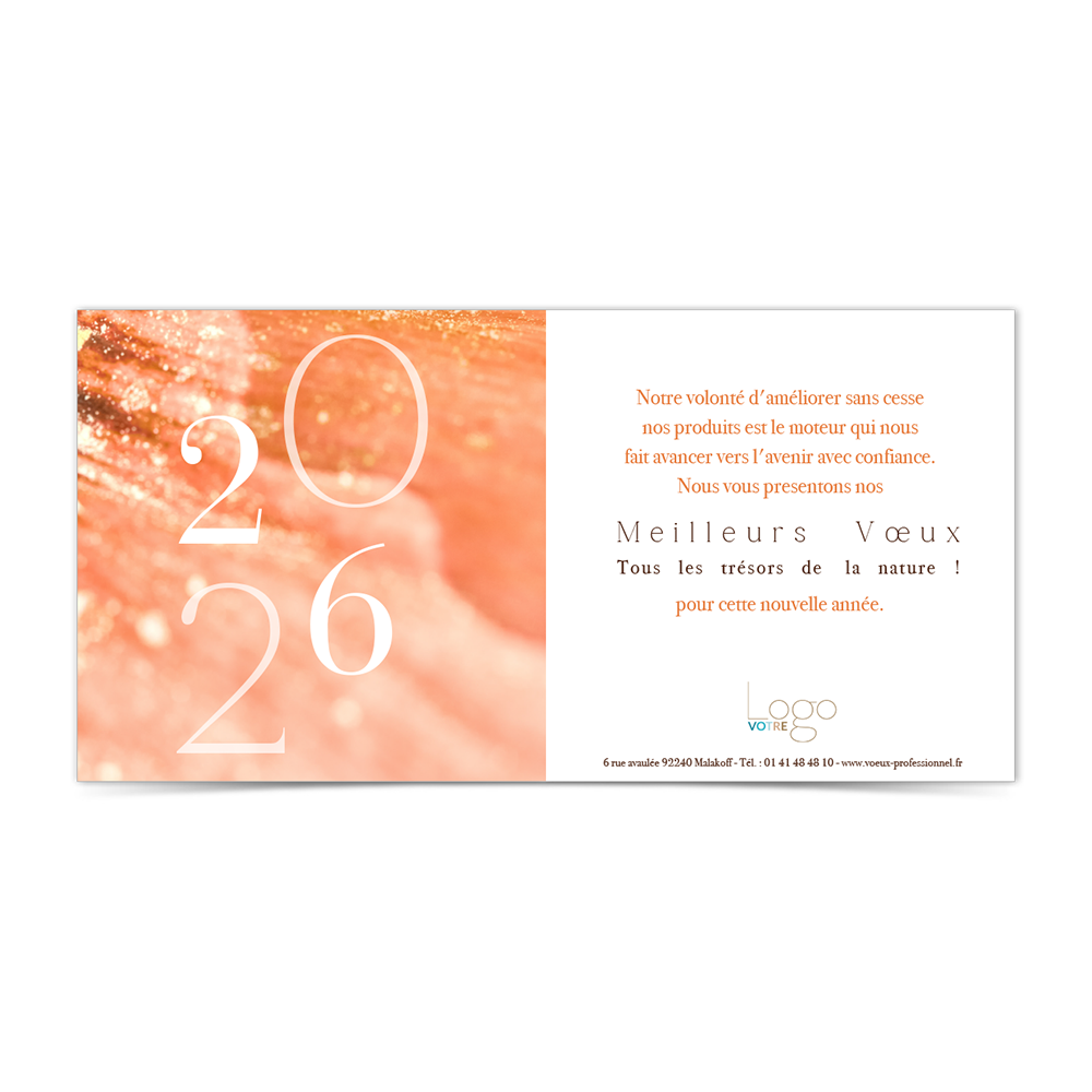 Carte de voeux virtuelle ANK487