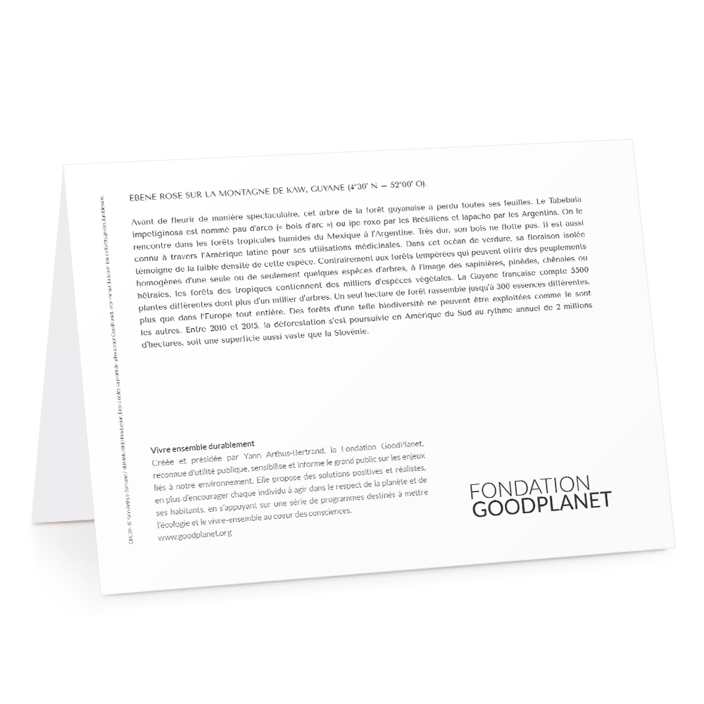 Carte de voeux 2026 - Ébène Rose