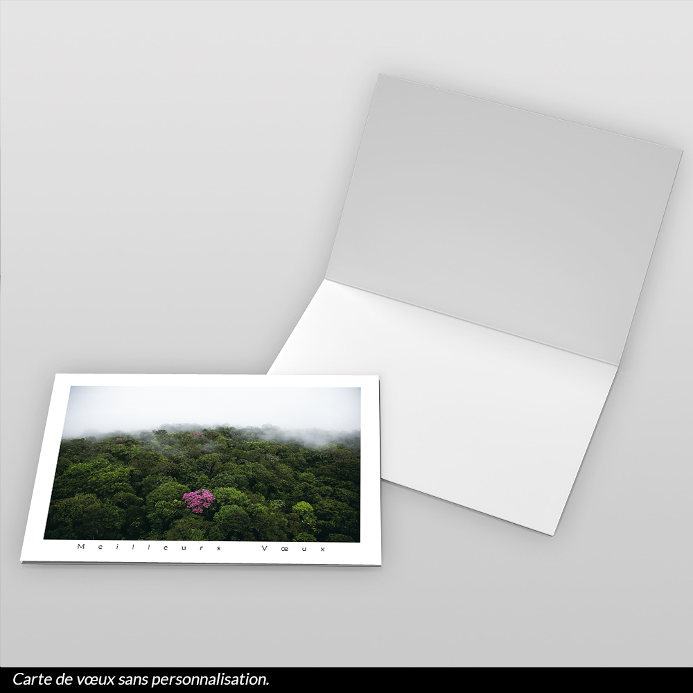 Carte de voeux 2026 - Ébène Rose